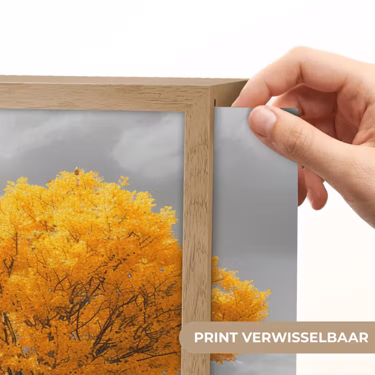 Lightbox - Wandlamp - Boom - Geel - Natuur - Zwart wit — 5