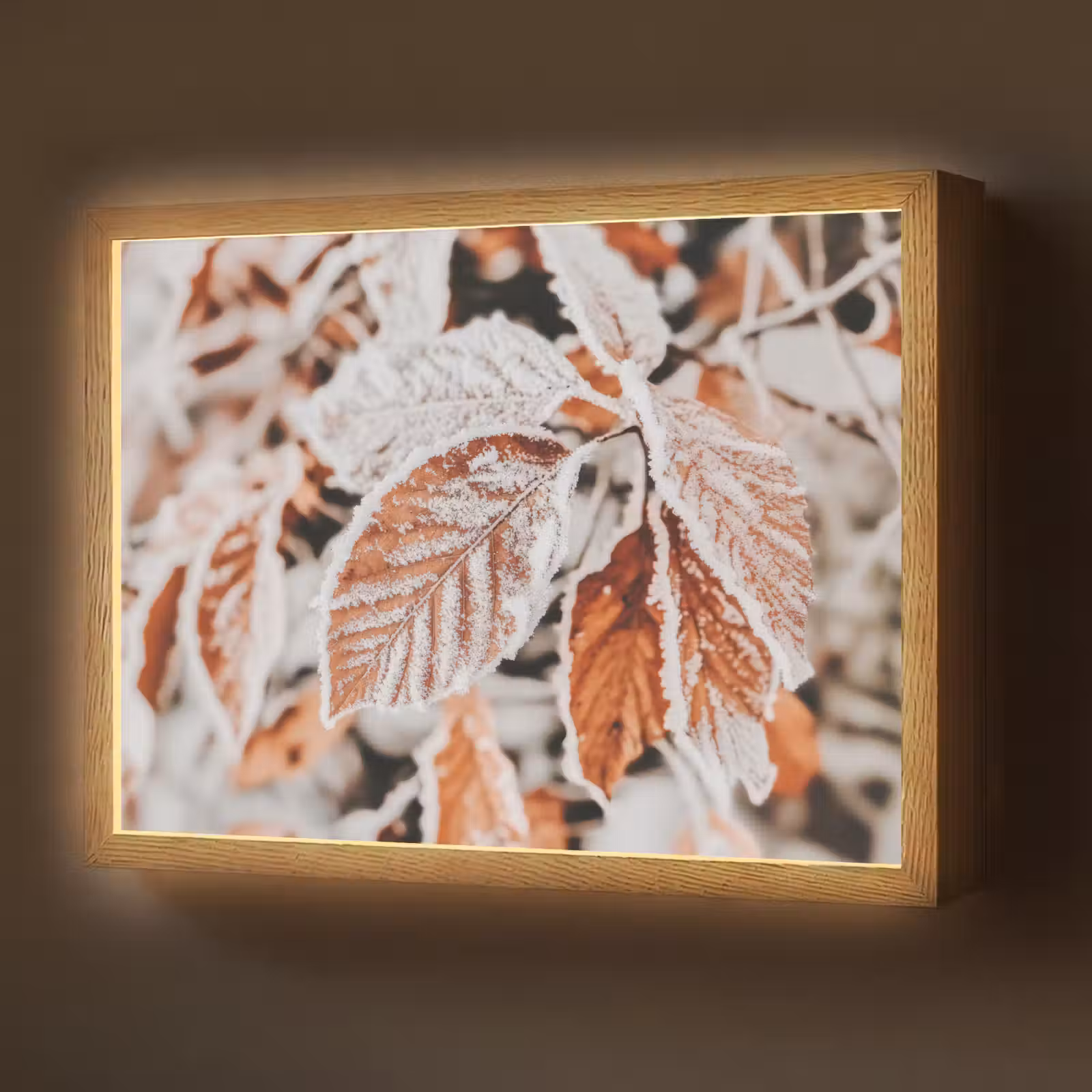 Lightbox - Wandlamp - Bladeren - IJs - Winter - Natuur — 1