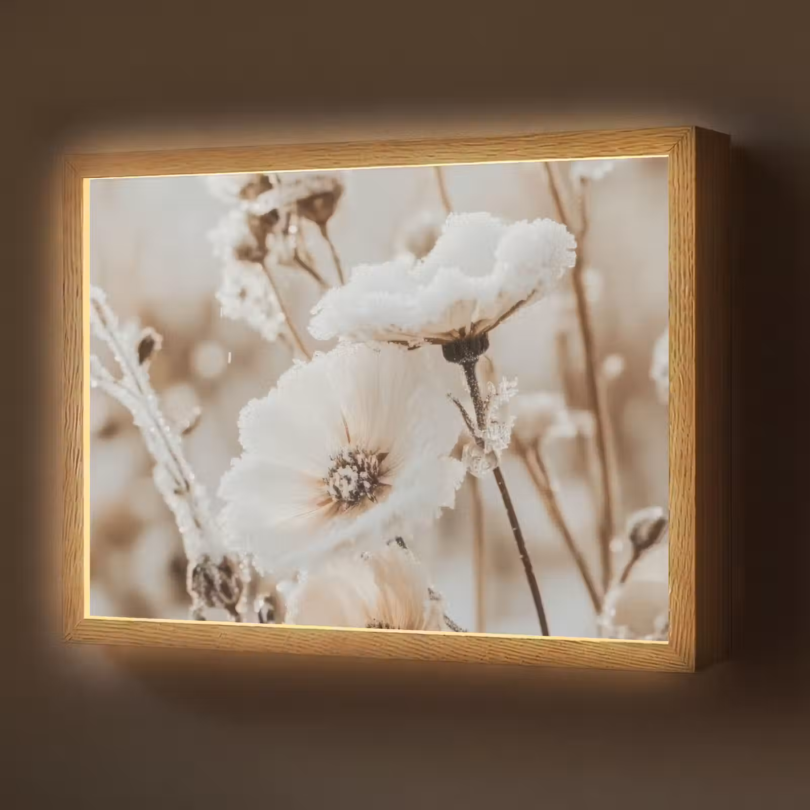 Lightbox - Wandlamp - Bloemen - Winter - Wit - Sneeuw - Beige — 1