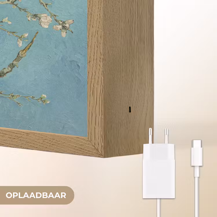 Lightbox - Wandlamp - Amandelbloesem - Van Gogh - Kunst - Bloemen — 7