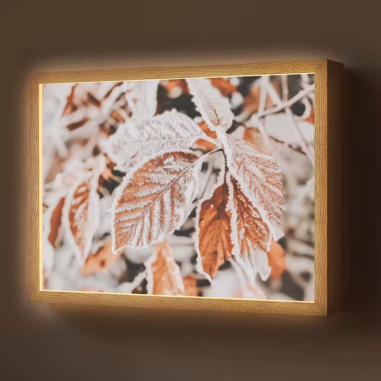 Lightbox - Wandlamp - Bladeren - IJs - Winter - Natuur — 1