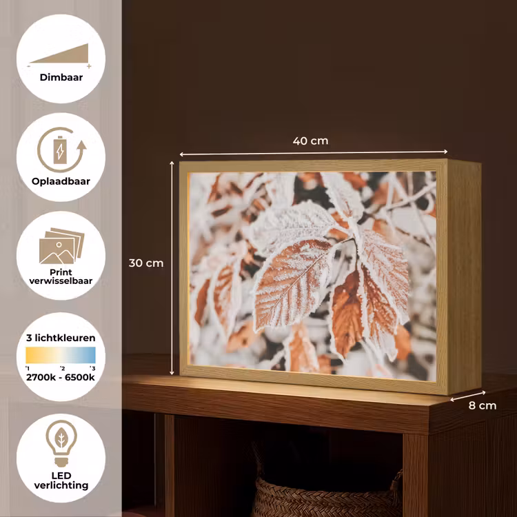 Lightbox - Wandlamp - Bladeren - IJs - Winter - Natuur — 10