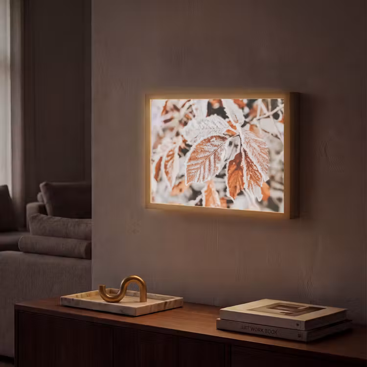 Lightbox - Wandlamp - Bladeren - IJs - Winter - Natuur — 2