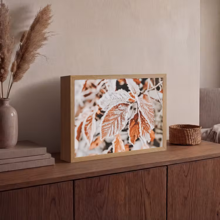 Lightbox - Wandlamp - Bladeren - IJs - Winter - Natuur — 4