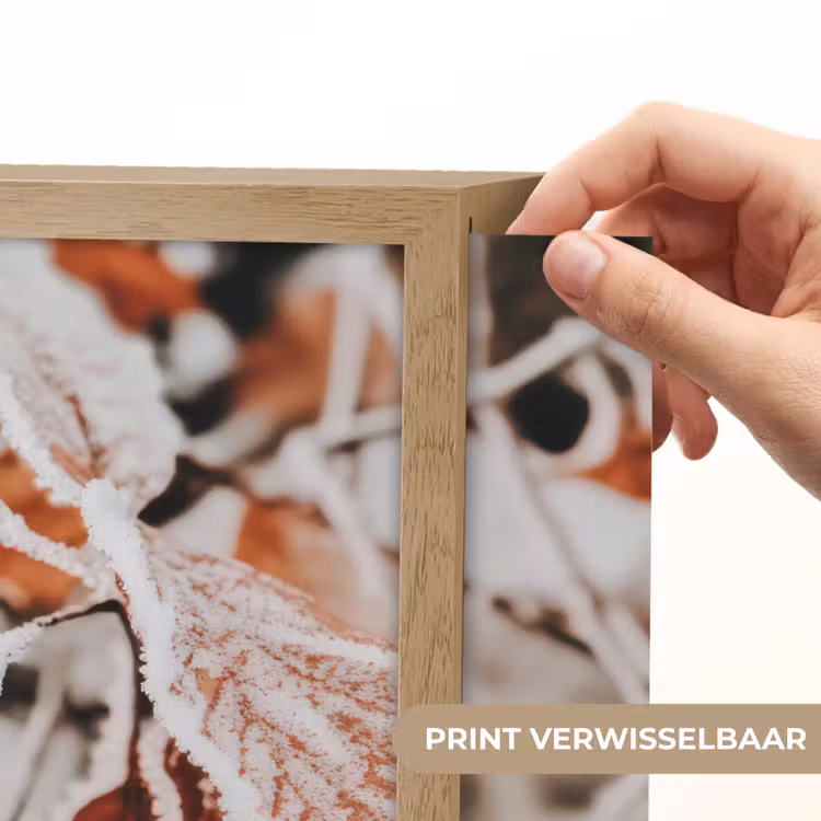 Lightbox - Wandlamp - Bladeren - IJs - Winter - Natuur — 5