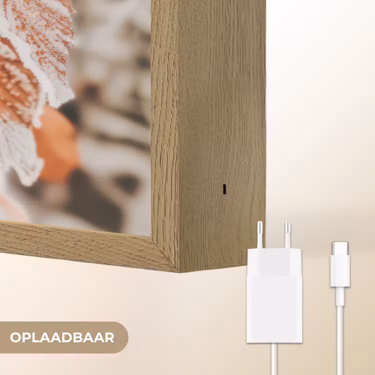 Lightbox - Wandlamp - Bladeren - IJs - Winter - Natuur — 7
