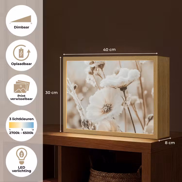 Lightbox - Wandlamp - Bloemen - Winter - Wit - Sneeuw - Beige — 10