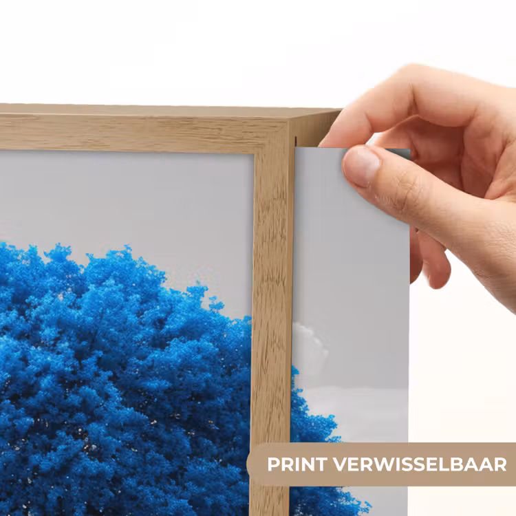 Lightbox - Wandlamp - Boom - Natuur - Blauw - Zwart wit — 5