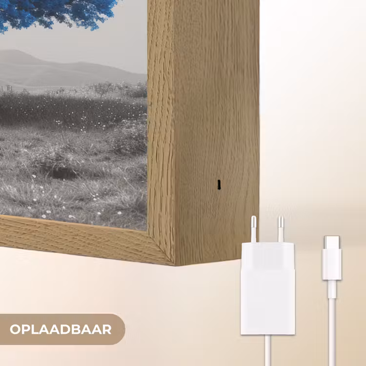 Lightbox - Wandlamp - Boom - Natuur - Blauw - Zwart wit — 7