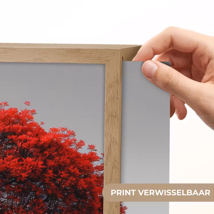 Lightbox - Wandlamp - Boom - Rood - Natuur - Zwart wit — 5
