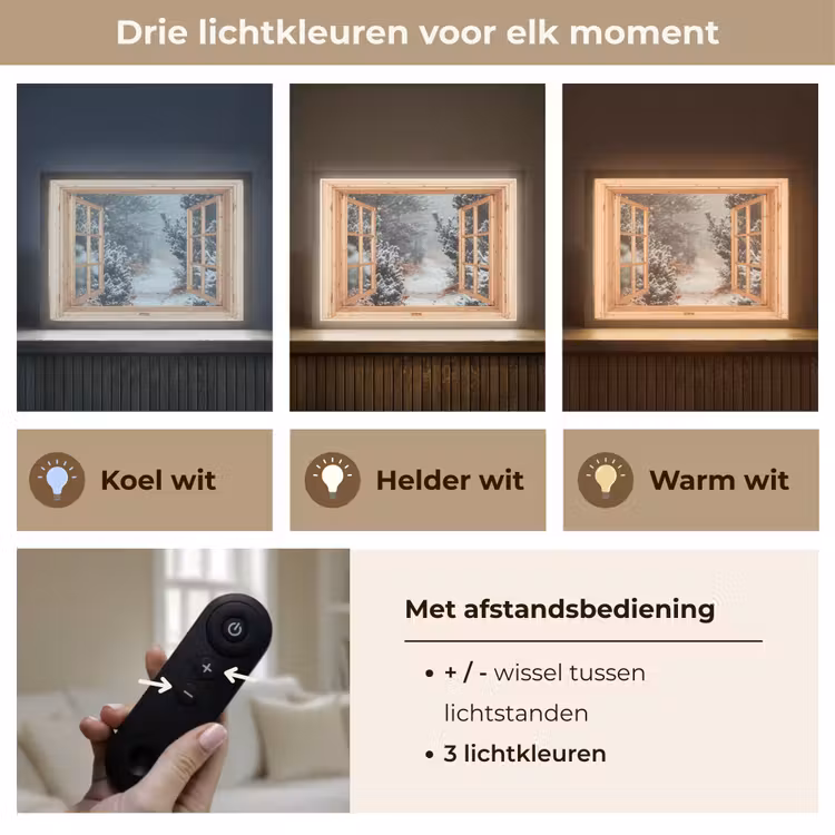 Lightbox - Wandlamp - Bos - Winter - Bomen - Natuur - Pad - Doorkijk — 8