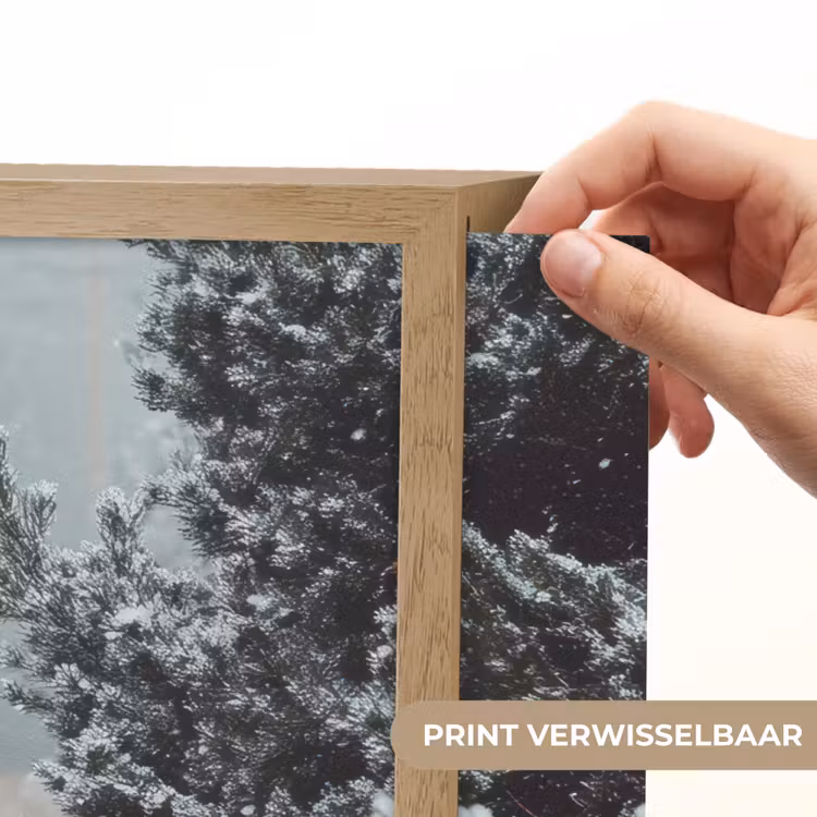 Lightbox - Wandlamp - Bos - Winter - Bomen - Natuur - Pad - Sneeuw — 5