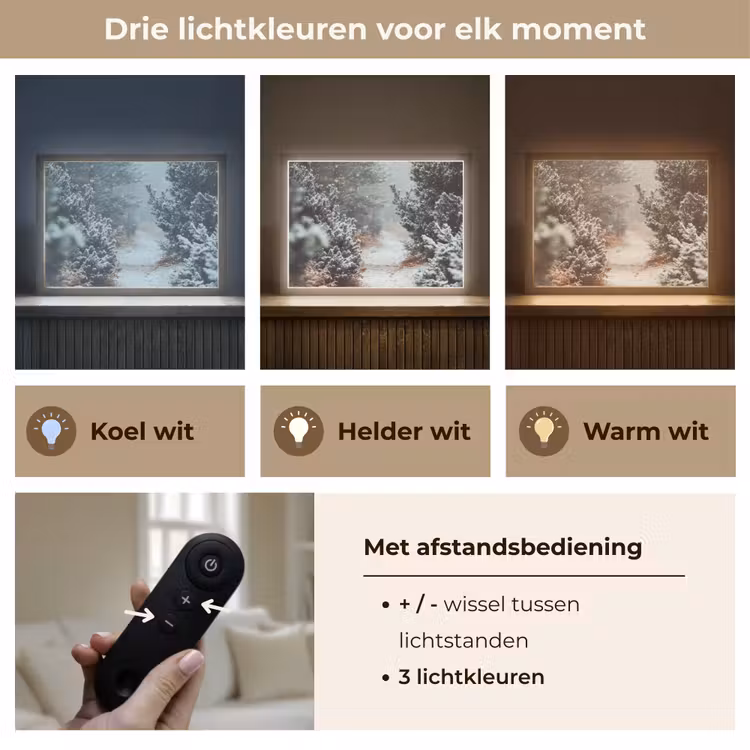 Lightbox - Wandlamp - Bos - Winter - Bomen - Natuur - Pad - Sneeuw — 8