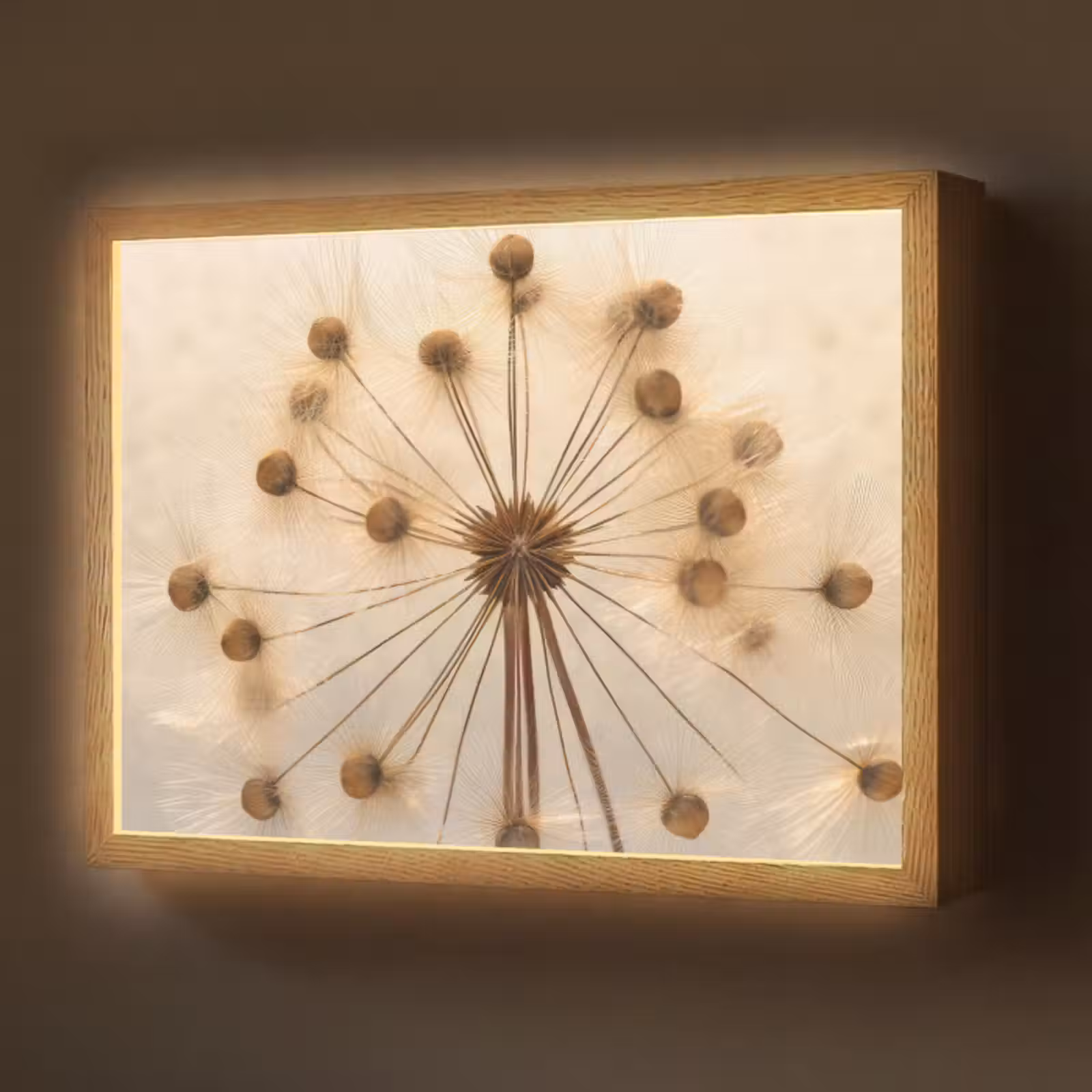 Lightbox - Wandlamp - Bloemen - Bruin - Planten - Botanisch — 1
