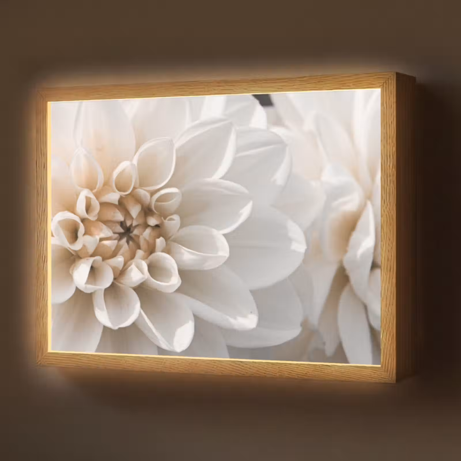 Lightbox - Wandlamp - Bloemen - Wit - Natuur — 1