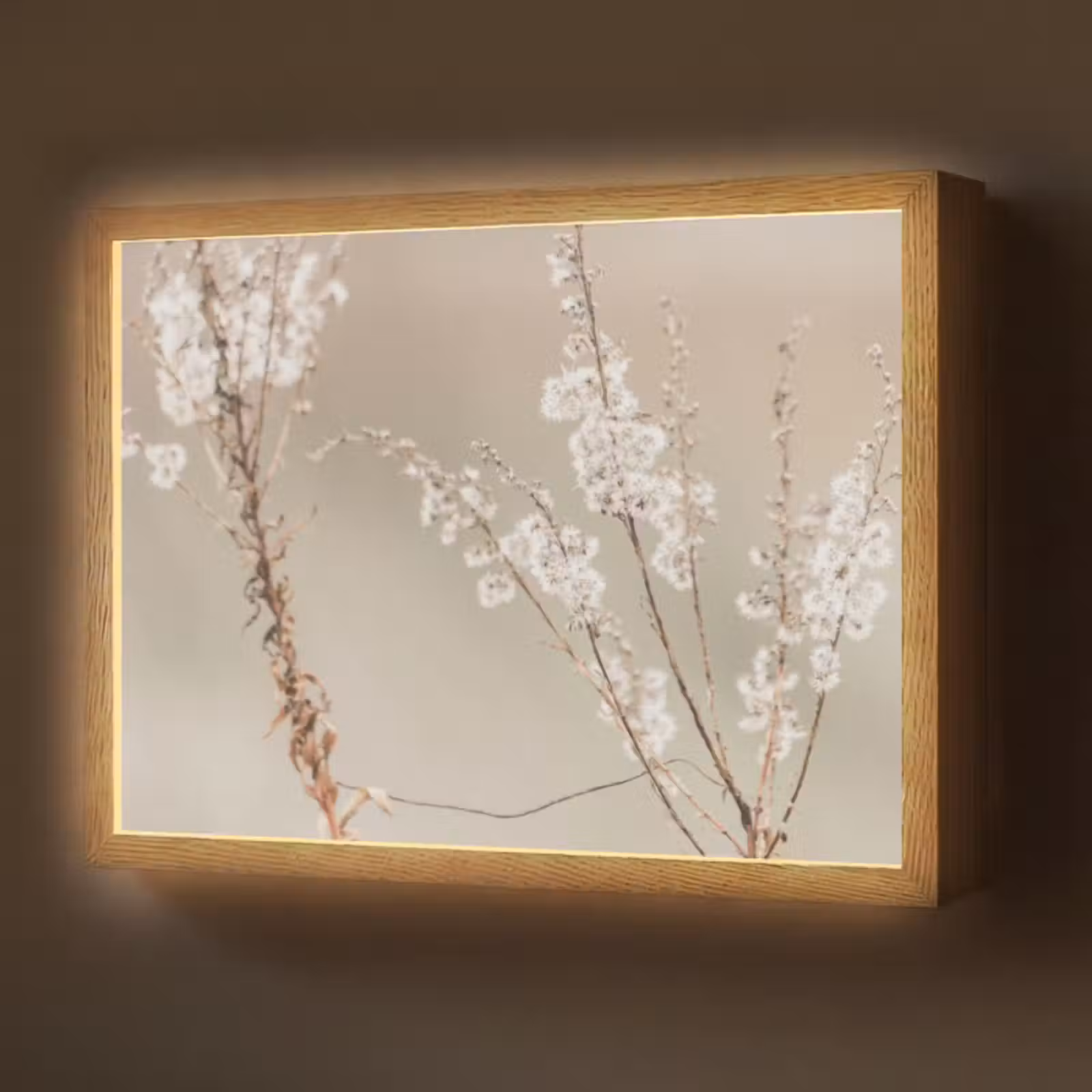 Lightbox - Wandlamp - Bloemen - Wit - Planten — 1