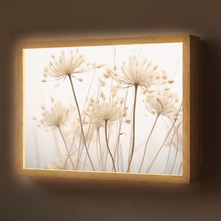 Lightbox - Wandlamp - Bloemen - Wit - Zonlicht — 1