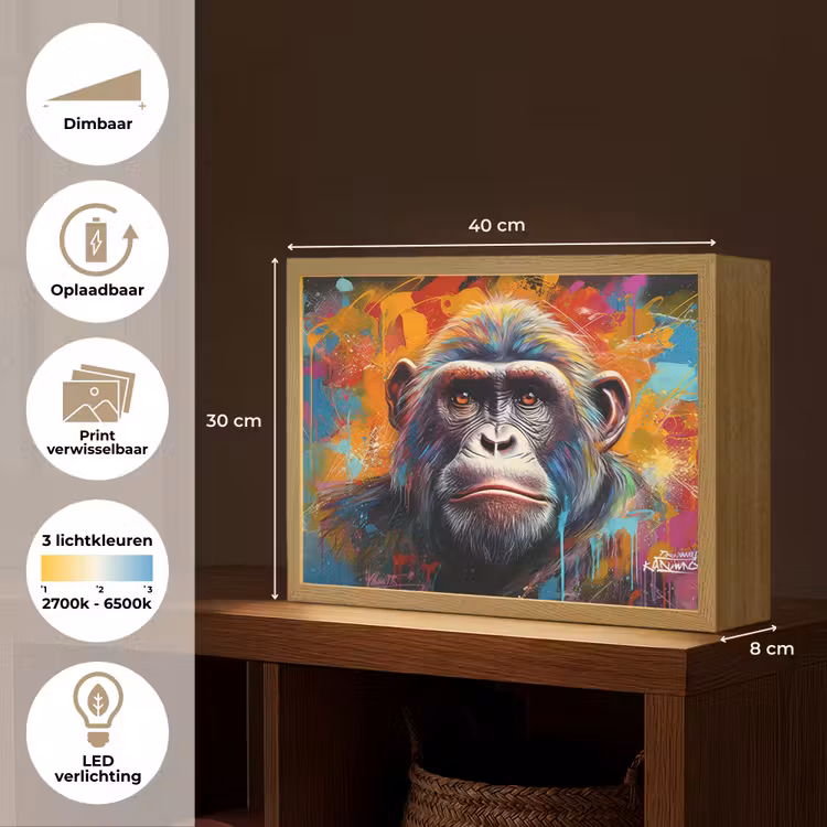 Lightbox - Wandlamp - Aap - Gorilla - Graffiti - Dieren - Kleuren — 10