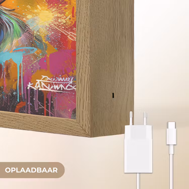 Lightbox - Wandlamp - Aap - Gorilla - Graffiti - Dieren - Kleuren — 7
