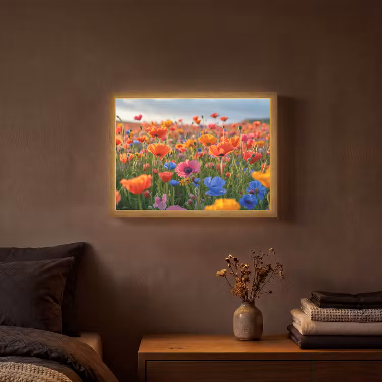 Lightbox - Wandlamp - Bloemen - Klaprozen - Kleurrijk - Natuur — 3