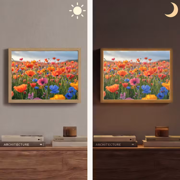 Lightbox - Wandlamp - Bloemen - Klaprozen - Kleurrijk - Natuur — 6