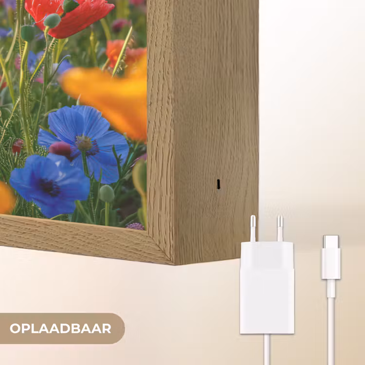 Lightbox - Wandlamp - Bloemen - Klaprozen - Kleurrijk - Natuur — 7