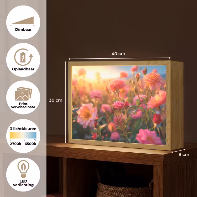 Lightbox - Wandlamp - Bloemen - Rozen - Natuur - Roze - Bloem — 10