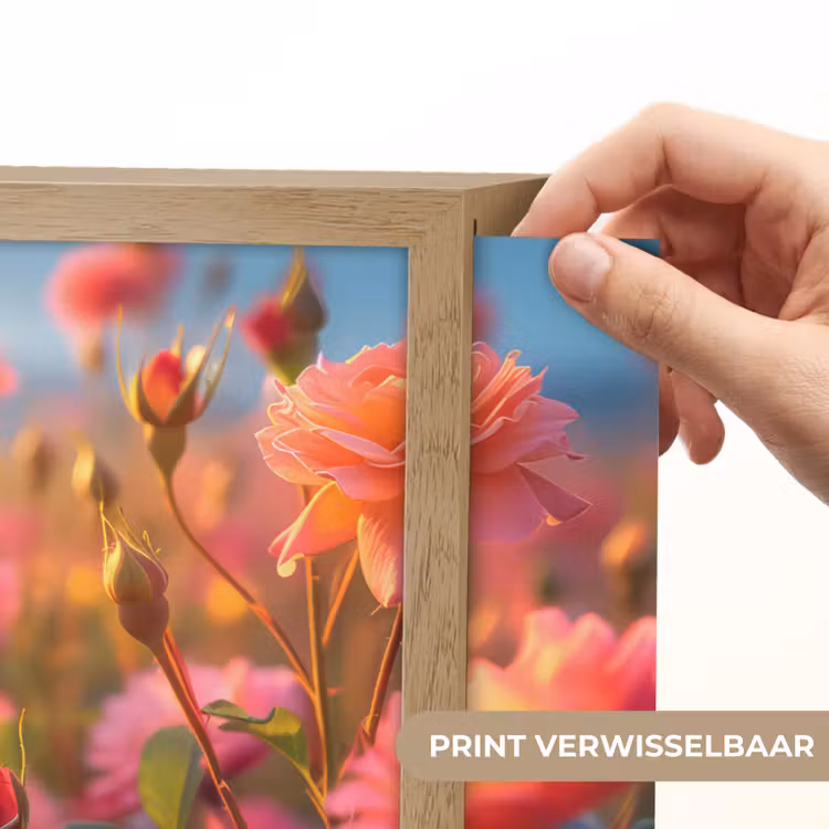 Lightbox - Wandlamp - Bloemen - Rozen - Natuur - Roze - Bloem — 5
