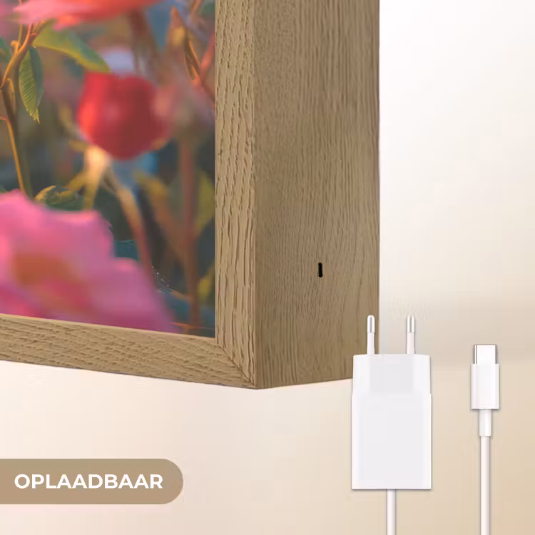 Lightbox - Wandlamp - Bloemen - Rozen - Natuur - Roze - Bloem — 7