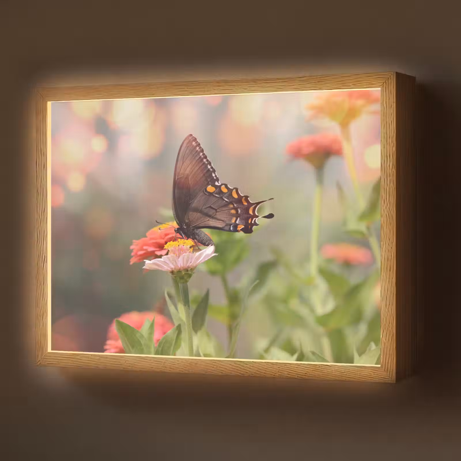 Lightbox - Wandlamp - Bloemen - Vlinder - Natuur - Bloem — 1