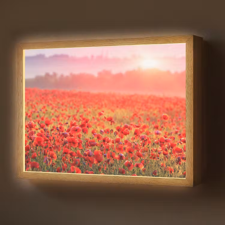Lightbox - Wandlamp - Bloemen - Klaprozen - Rood - Bloemenveld — 1