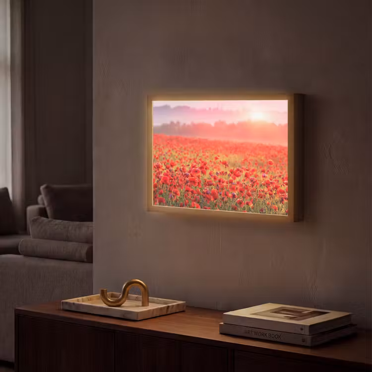 Lightbox - Wandlamp - Bloemen - Klaprozen - Rood - Bloemenveld — 2