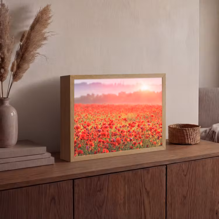 Lightbox - Wandlamp - Bloemen - Klaprozen - Rood - Bloemenveld — 4
