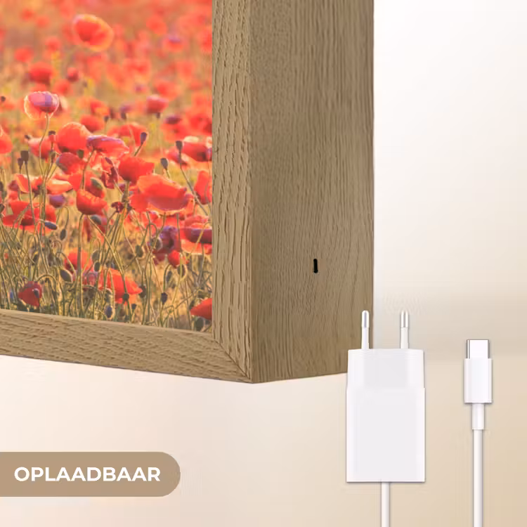 Lightbox - Wandlamp - Bloemen - Klaprozen - Rood - Bloemenveld — 7