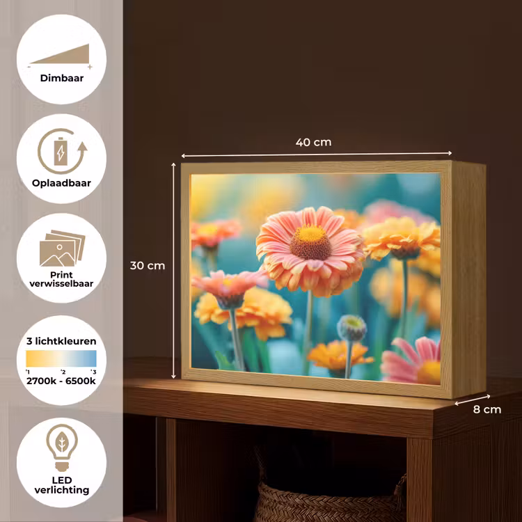 Lightbox - Wandlamp - Bloemen - Kleurrijk - Natuur - Gerbera — 10