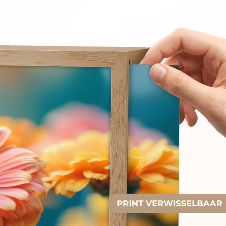 Lightbox - Wandlamp - Bloemen - Kleurrijk - Natuur - Gerbera — 5