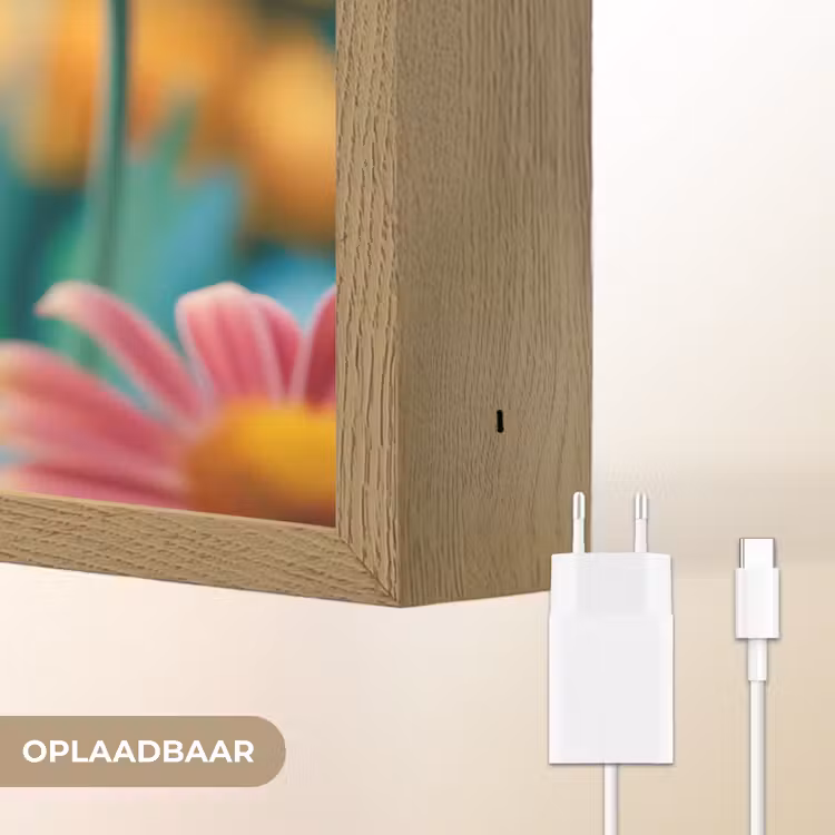 Lightbox - Wandlamp - Bloemen - Kleurrijk - Natuur - Gerbera — 7