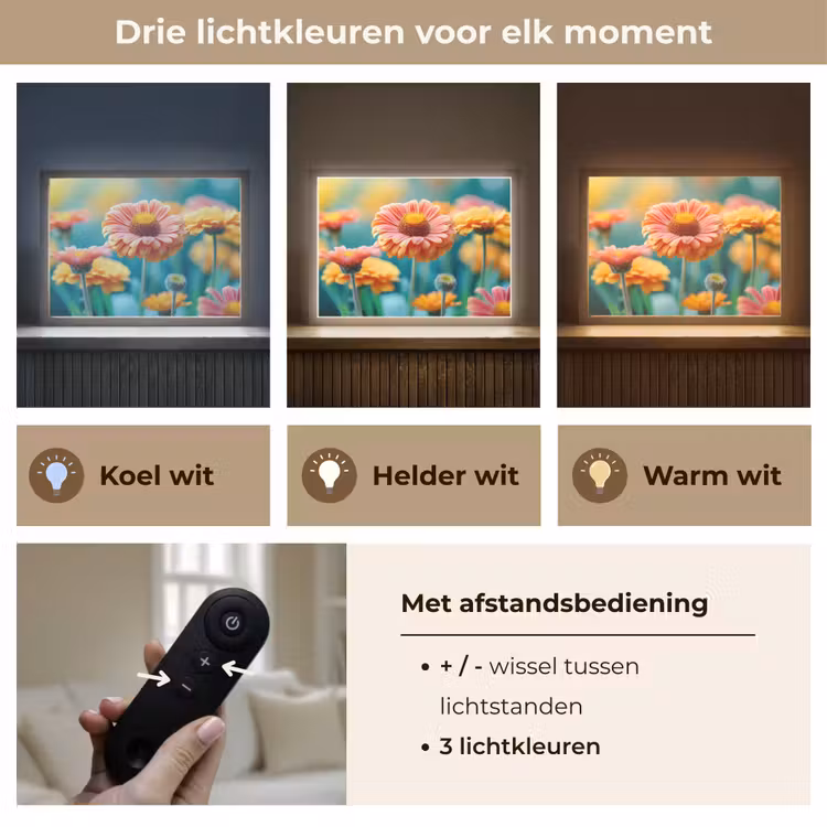 Lightbox - Wandlamp - Bloemen - Kleurrijk - Natuur - Gerbera — 8