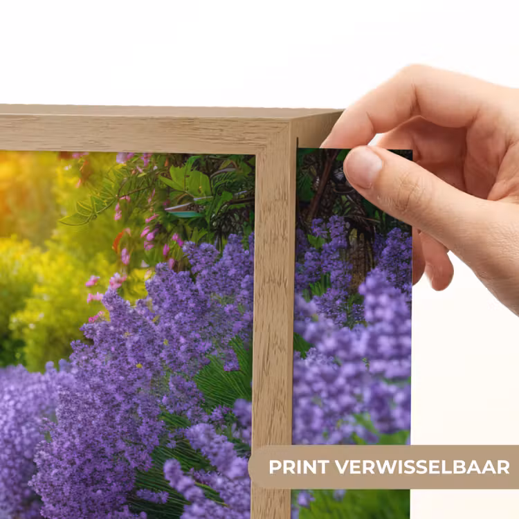 Lightbox - Wandlamp - Bloemen - Pad - lavendel - Tuin — 5