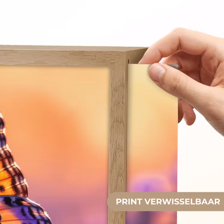 Lightbox - Wandlamp - Bloemen - Vlinder - Lavendel - Bloem - Natuur — 5