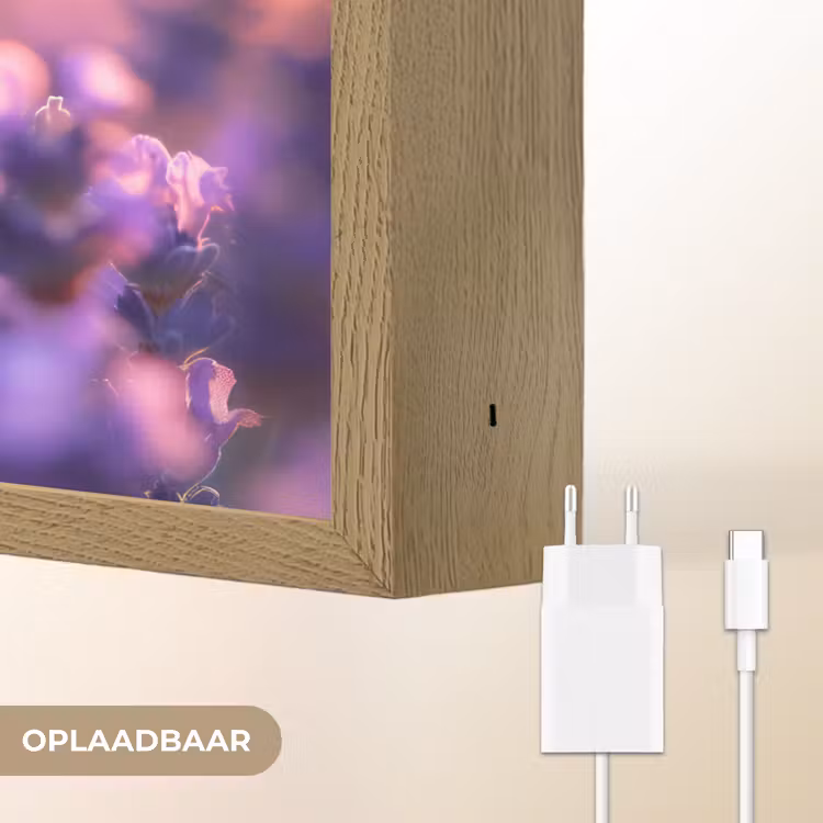 Lightbox - Wandlamp - Bloemen - Vlinder - Lavendel - Bloem - Natuur — 7