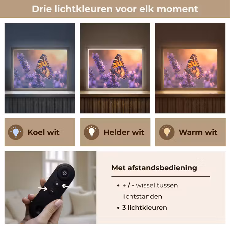 Lightbox - Wandlamp - Bloemen - Vlinder - Lavendel - Bloem - Natuur — 8