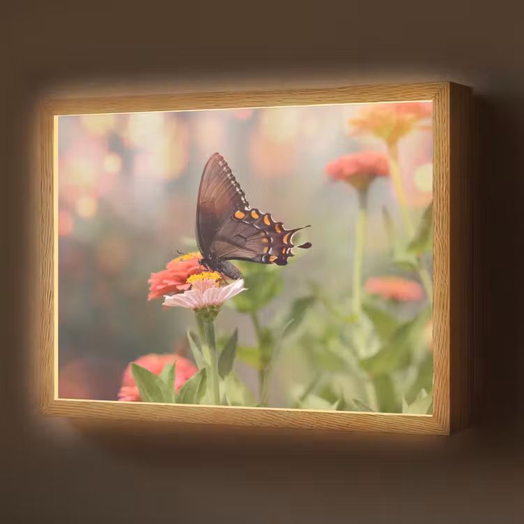 Lightbox - Wandlamp - Bloemen - Vlinder - Natuur - Bloem — 1