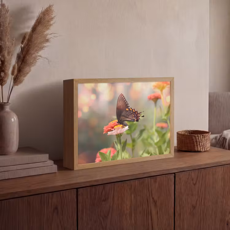 Lightbox - Wandlamp - Bloemen - Vlinder - Natuur - Bloem — 4