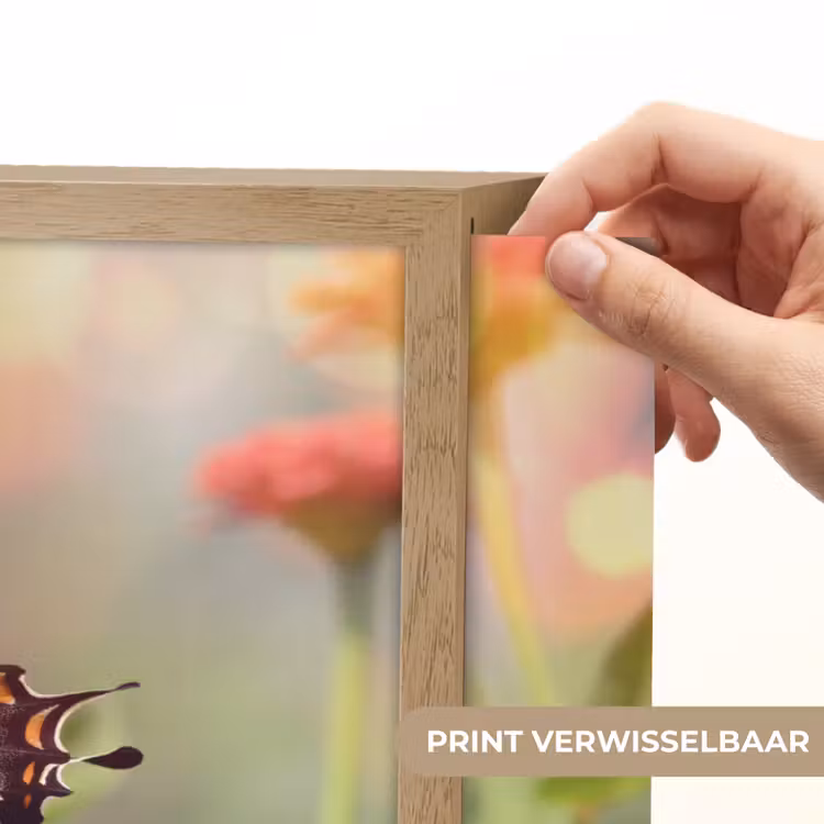 Lightbox - Wandlamp - Bloemen - Vlinder - Natuur - Bloem — 5