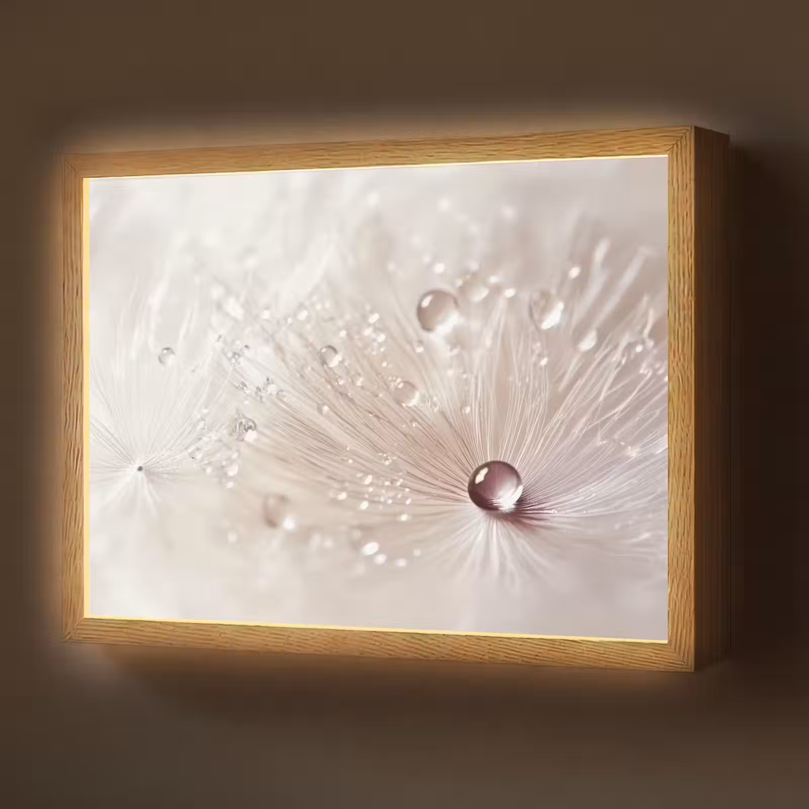 Lightbox - Wandlamp - Bloem - Abstract - Wit - Water - Natuur — 1