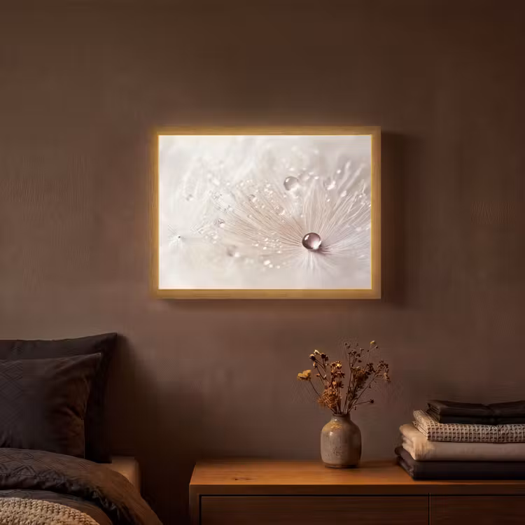 Lightbox - Wandlamp - Bloem - Abstract - Wit - Water - Natuur — 3