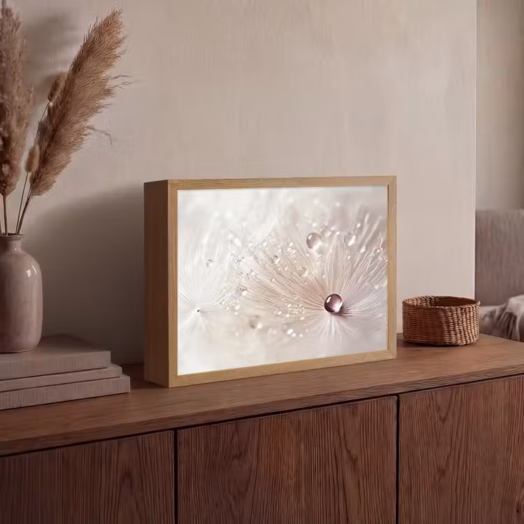 Lightbox - Wandlamp - Bloem - Abstract - Wit - Water - Natuur — 4