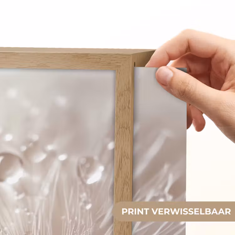 Lightbox - Wandlamp - Bloem - Abstract - Wit - Water - Natuur — 5