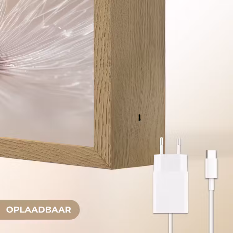 Lightbox - Wandlamp - Bloem - Abstract - Wit - Water - Natuur — 7